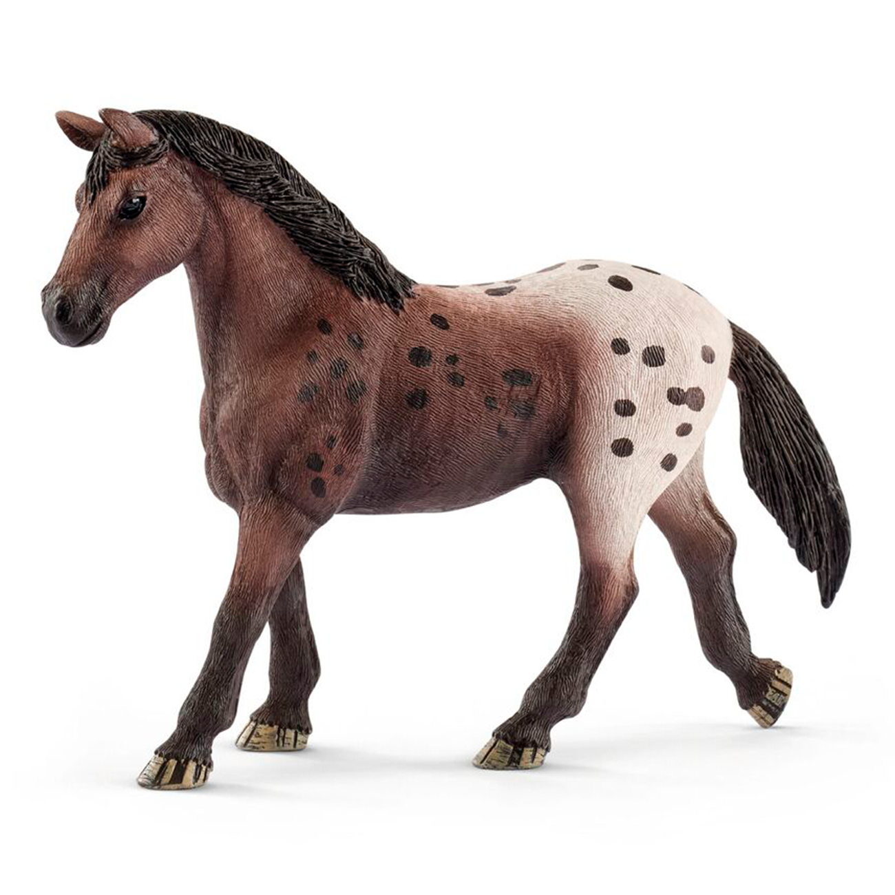 Appaloosa-hopp