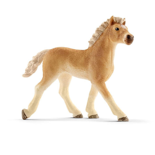 Haflinger föl