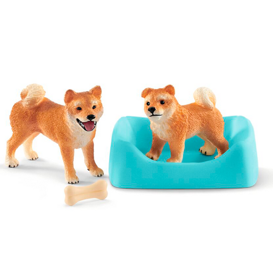 Shiba Inu mamma och valp